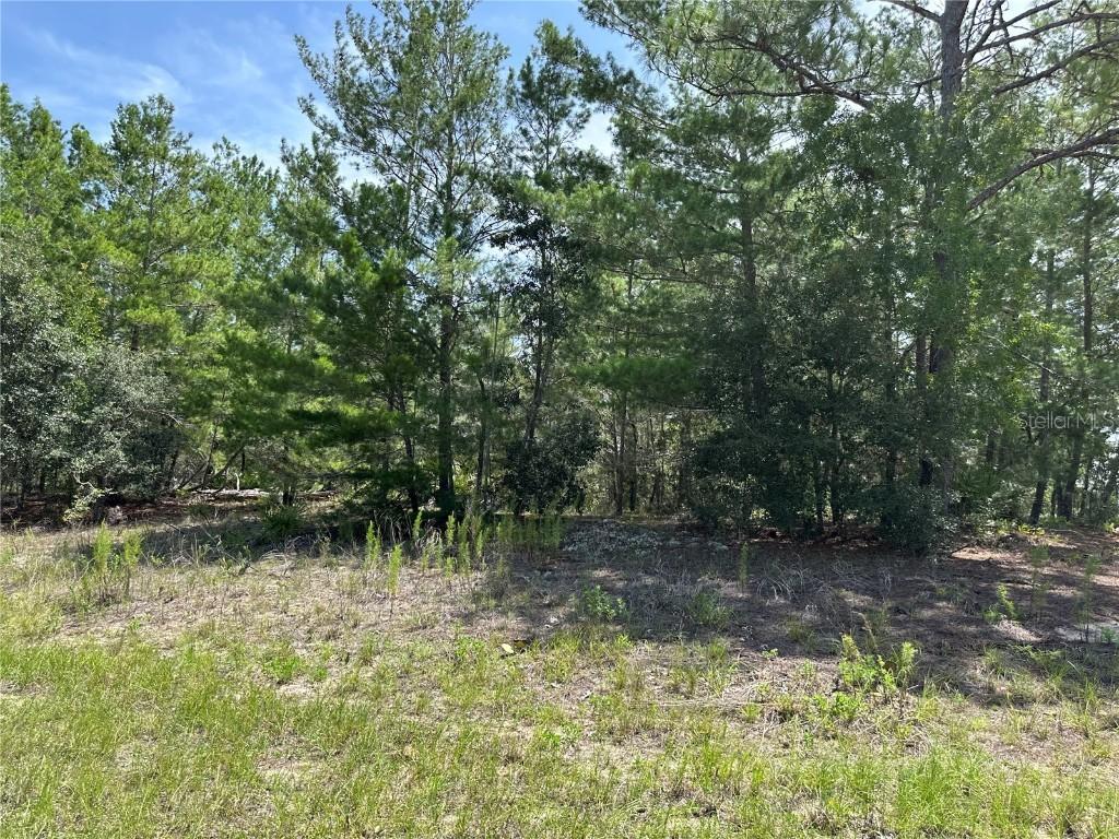 6202 N Mariner Ter., Citrus Springs, FL 34433