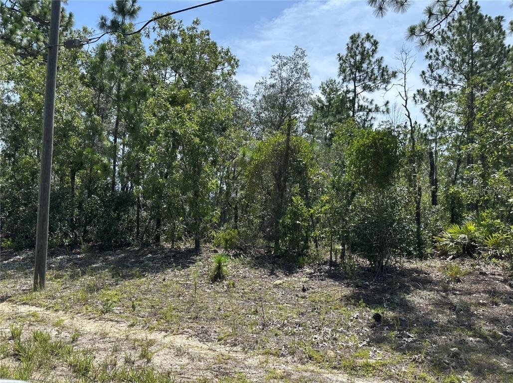 8893 N Lansen Way, Citrus Springs, FL 34433