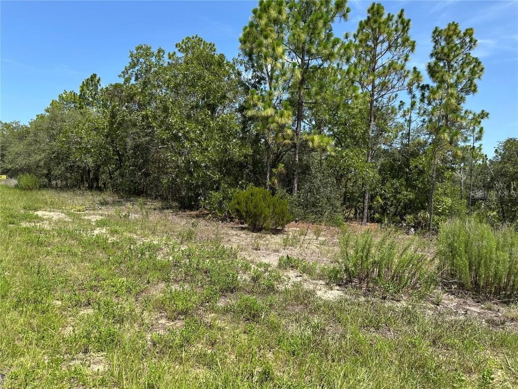 3803 W Keene Ln., Dunnellon, FL 34433