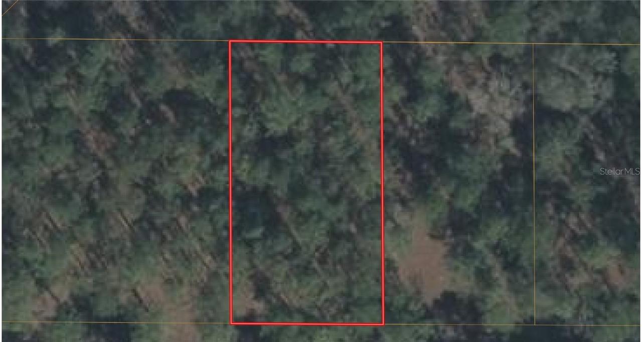 TBD SW 26th Pl., Ocala, FL 34481