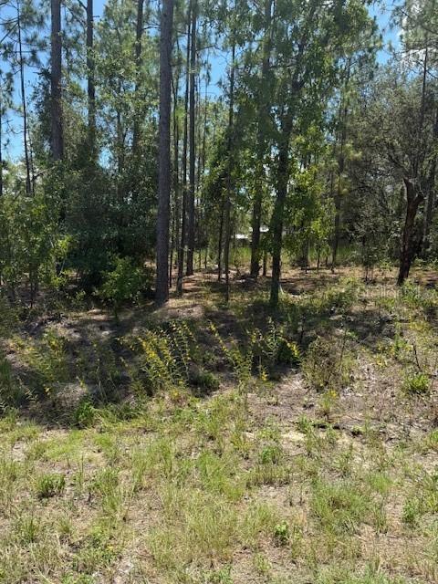 TBD Oak Lane Circle, Ocala, FL 34472