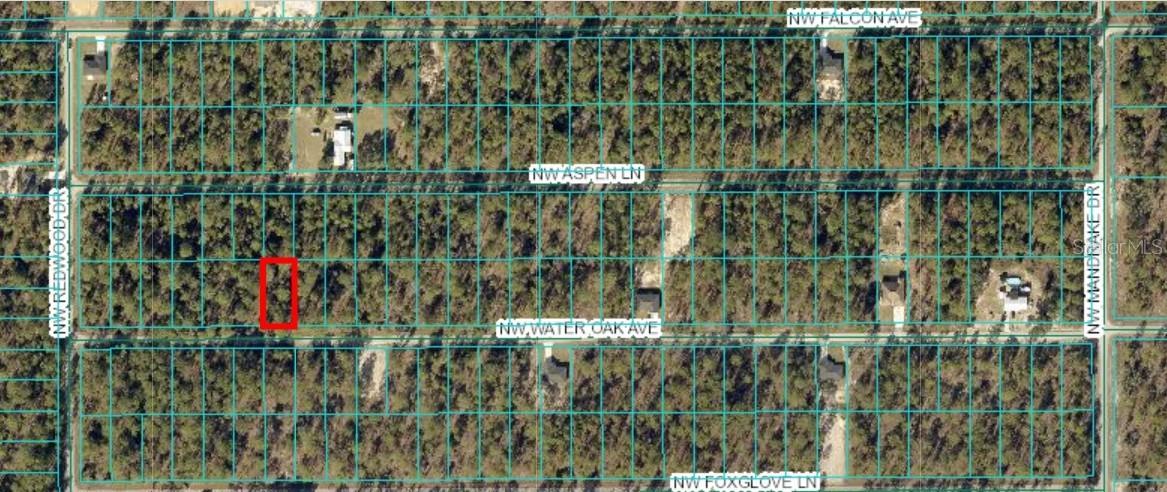 TBD NW Water Oak, Lot 60, Dunnellon, FL 34431