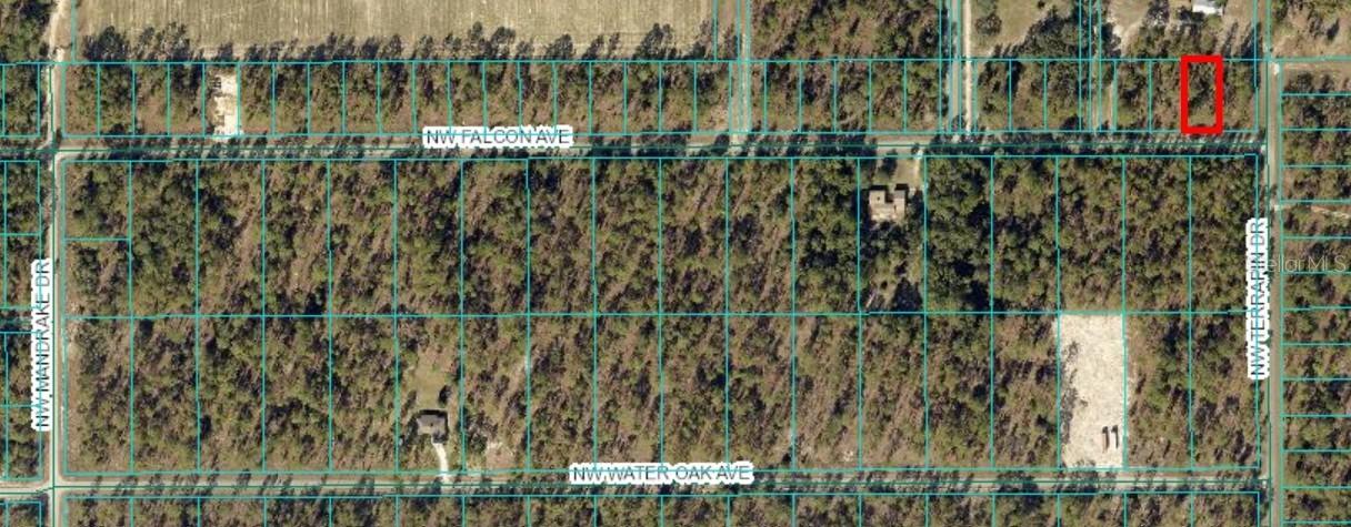 TBD NW Falcon Ave, Lot 33, Dunnellon, FL 34431