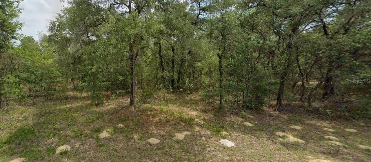 6455 N Whispering Dr, Citrus Springs, FL 34434