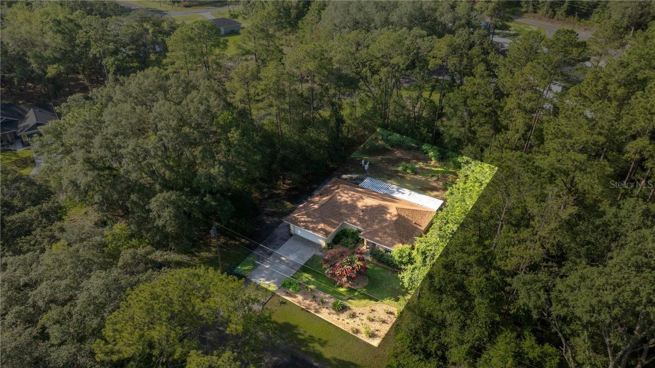 26 Bay Place Run, Ocklawaha, FL 32179