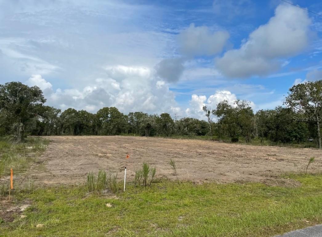 4880 SW Marigold Ct., Dunnellon, FL 34431
