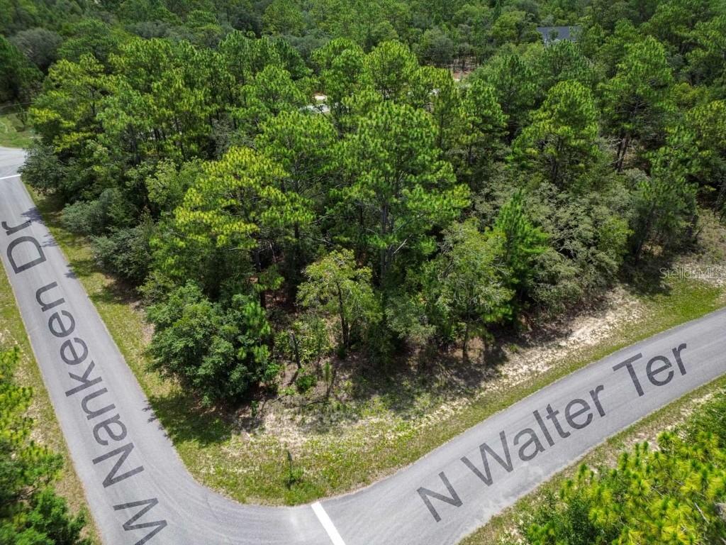 6549 N Walter Ter., Dunnellon, FL 34434