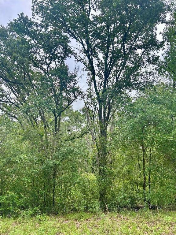 714 Longwood Ave., Inverness, FL 34453