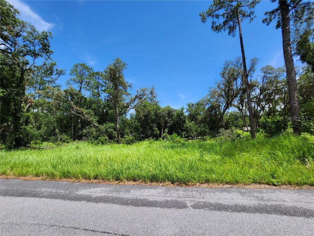 TBD Oak Lane Way, Ocala, FL 34472