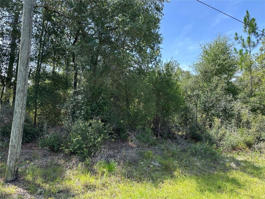 8547 N Trojan Dr., Citrus Springs, FL 34433