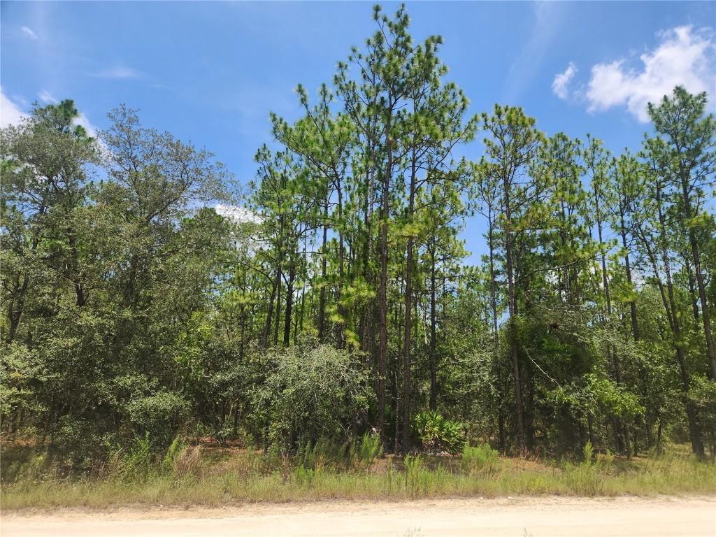 SW 76 Ln., Dunnellon, FL 34432