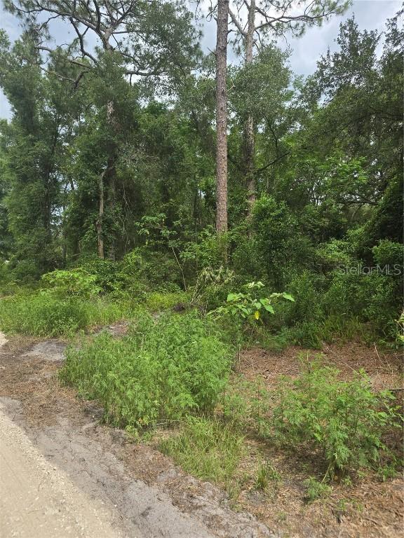 1650 SE 178th Ln., Summerfield, FL 34491