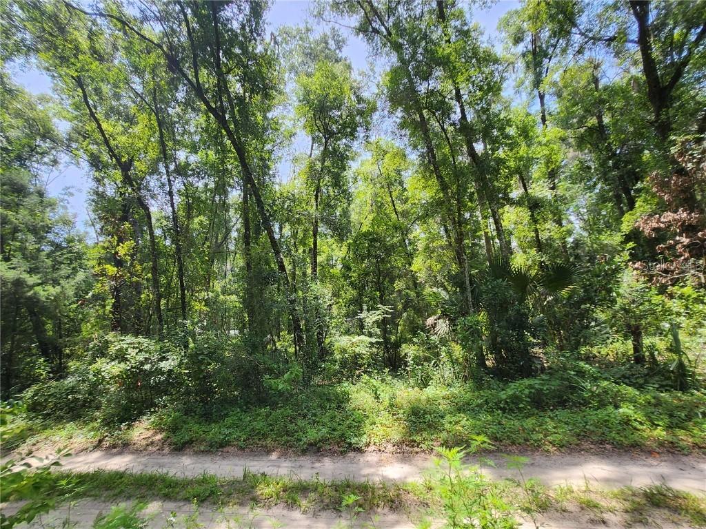 3200 NE 167 St., Citra, FL 32113