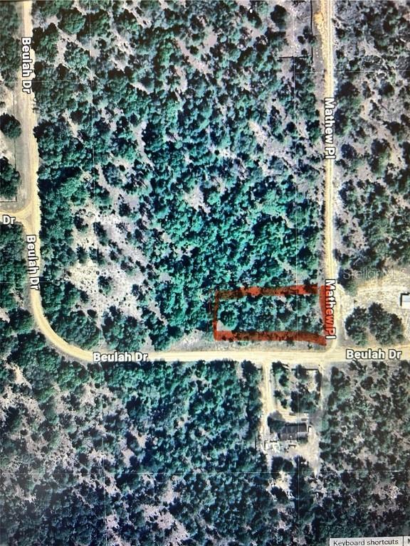101 Matthew Pl., Hawthorne, FL 32640