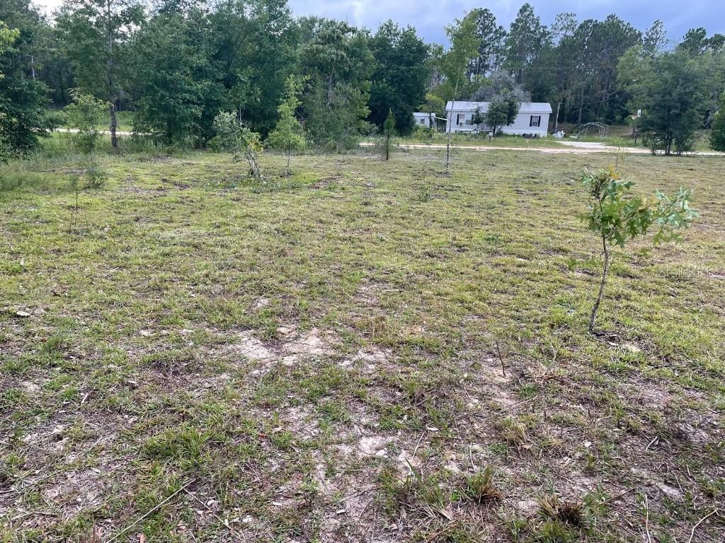 NE 135th Ct., Williston, FL 32696