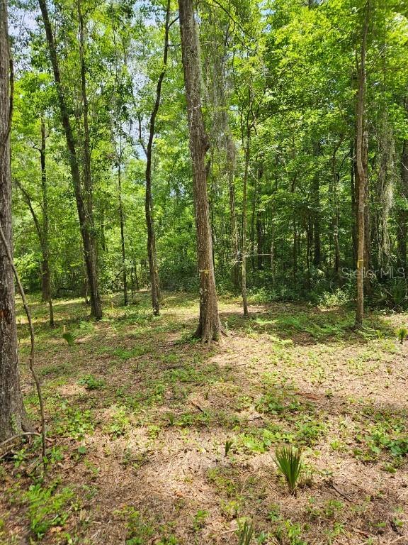 [Address Hidden by Seller], Ocala, FL 34482