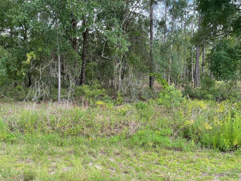 LOT 3 NW Falcon Ave., Dunnellon, FL 34431