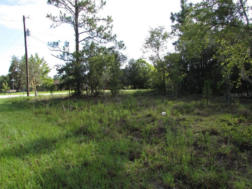 Lot 26 SE 136 Ter., Dunnellon, FL 34431