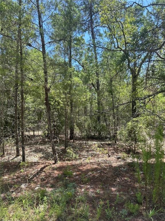 121 Pear St., Welaka, FL 32193