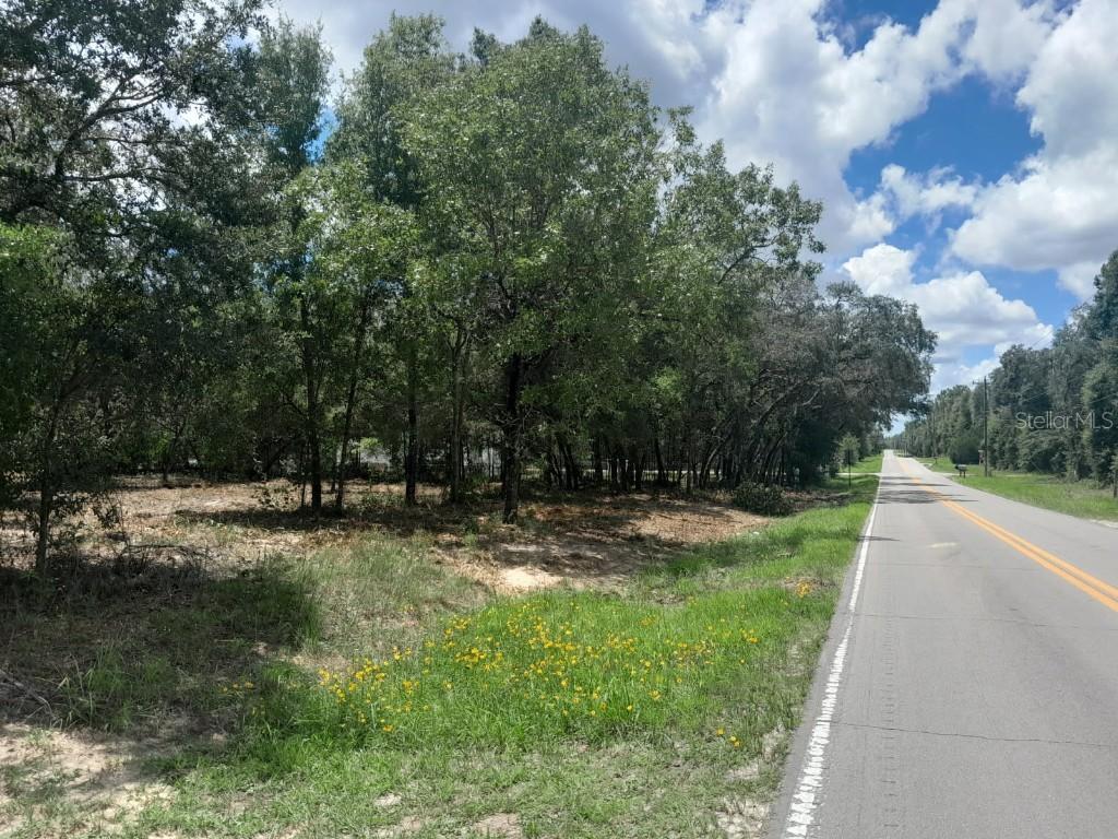 tbd NE 105th Ave., Bronson, FL 32621