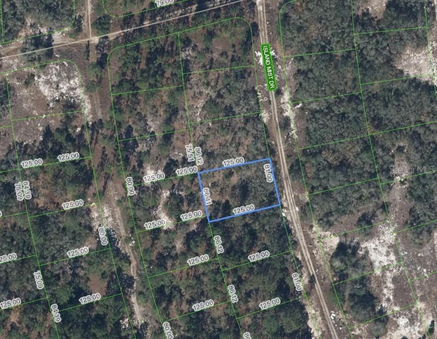 218 Island Mist Dr., Lake Placid, FL 33852
