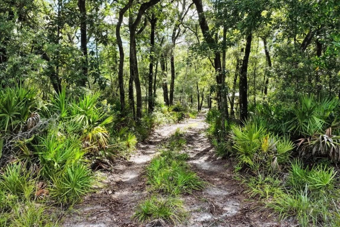 0000 SW County Road 347, Chiefland, FL 32626