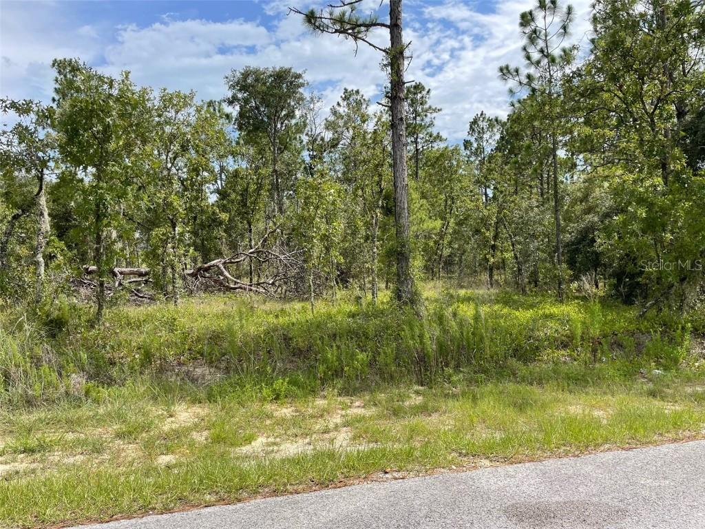 LOT 18 NW Geranium Ave., Dunnellon, FL 34431