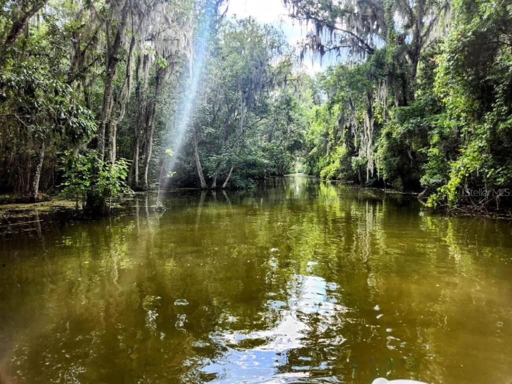 Pine Ridge Rd., Leesburg, FL 34788