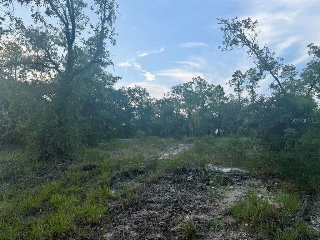 00 SW Barnacle Dr., Dunnellon, FL 34431