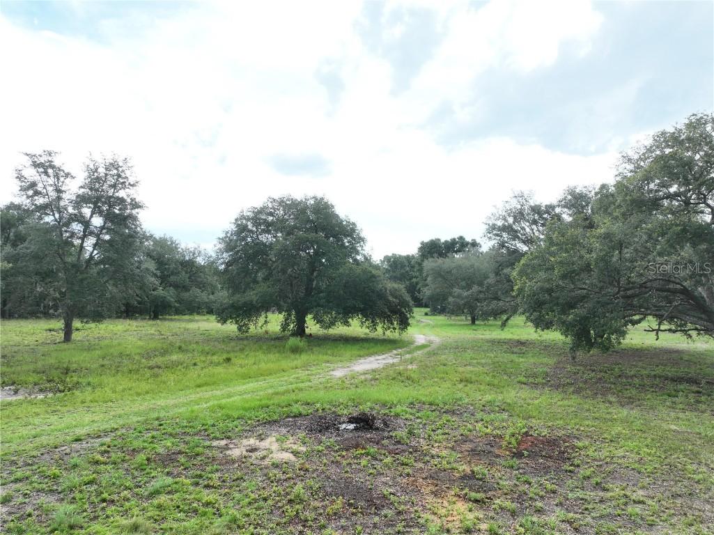 6671 NE 131st Ave., Williston, FL 32696