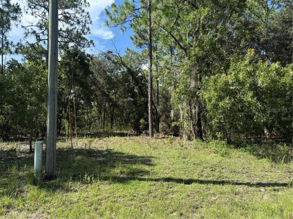 2174 W Tacoma Dr., Citrus Springs, FL 34434