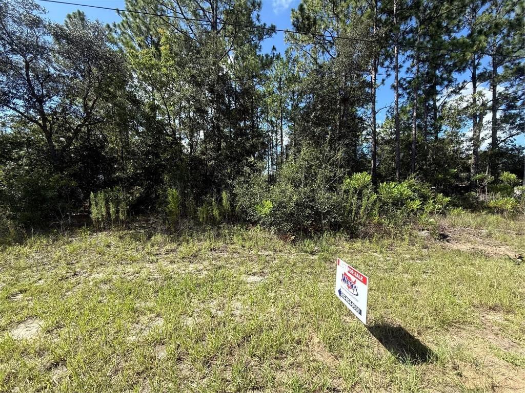2190 W Tacoma Dr., Citrus Springs, FL 34434