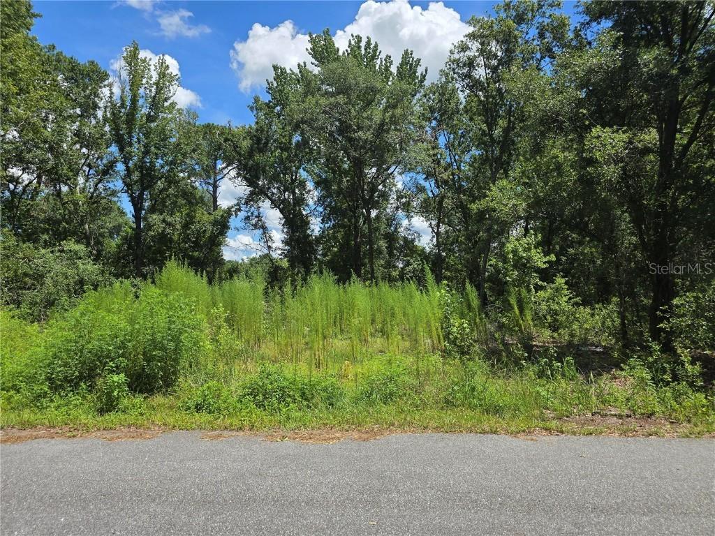 234 Oak Lane Way, Ocala, FL 34472