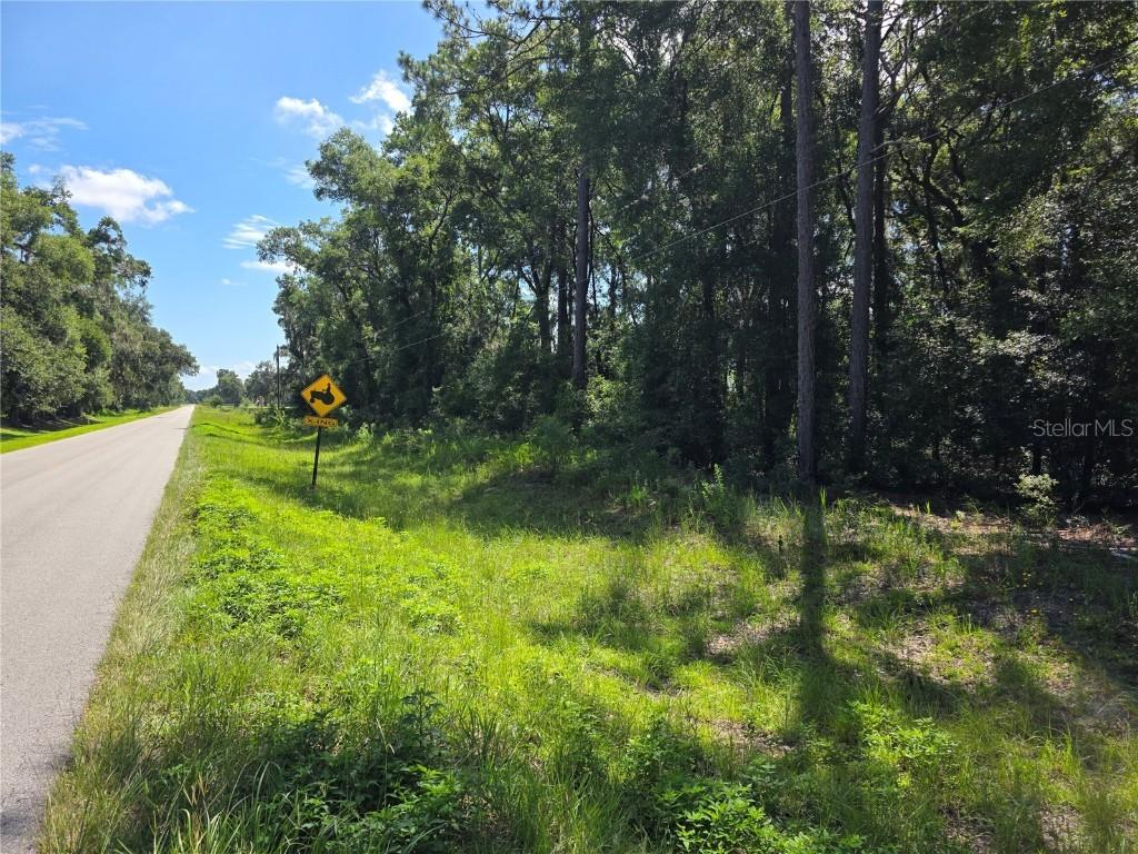 000 SE 32 Pl., Morriston, FL 32668