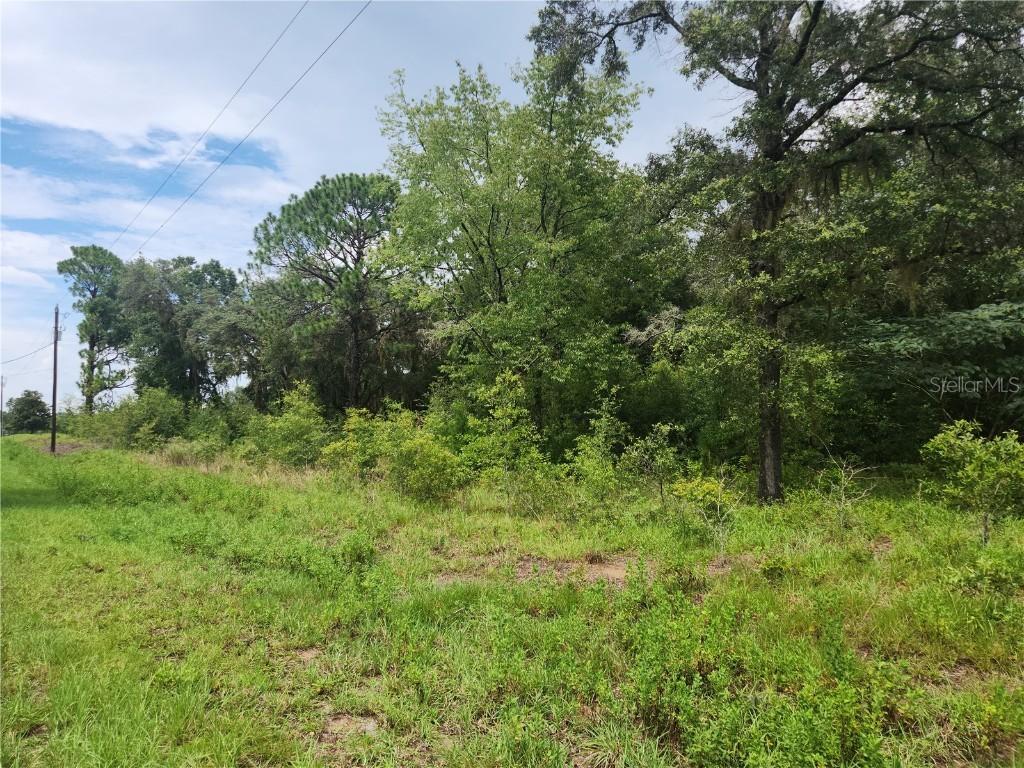 Lot 9 SW Ivy Pl., Dunnellon, FL 34431