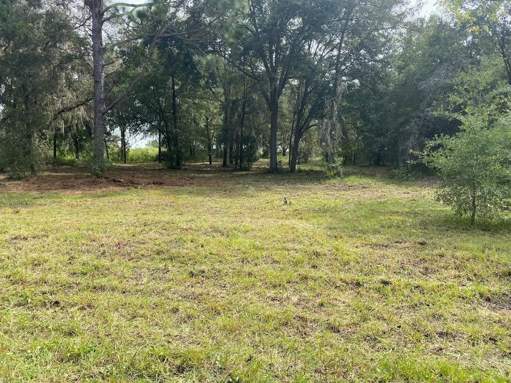 Lot 9 SW Ivy Pl., Dunnellon, FL 34431