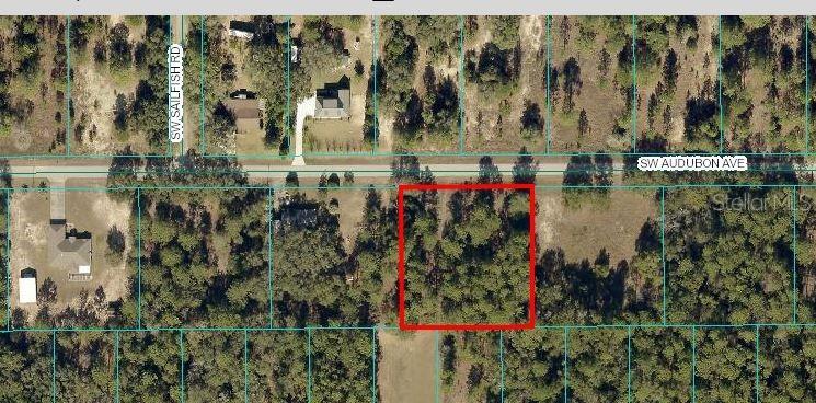 00 NW Smallwood Rd, Dunnellon, FL 34431