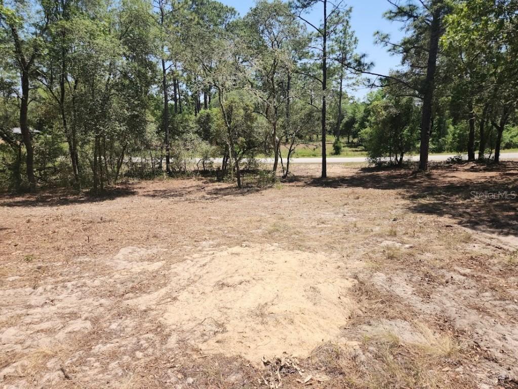 Lot 18 SW Pine Bluffs Rd., Dunnellon, FL 34431