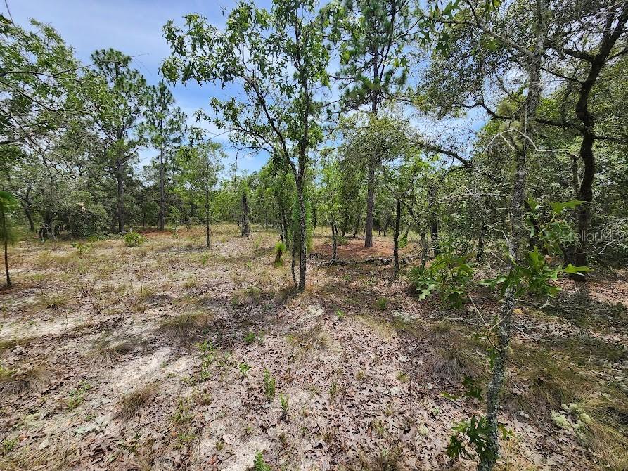 Lot 14 SW Indian Hill Dr., Dunnellon, FL 34431