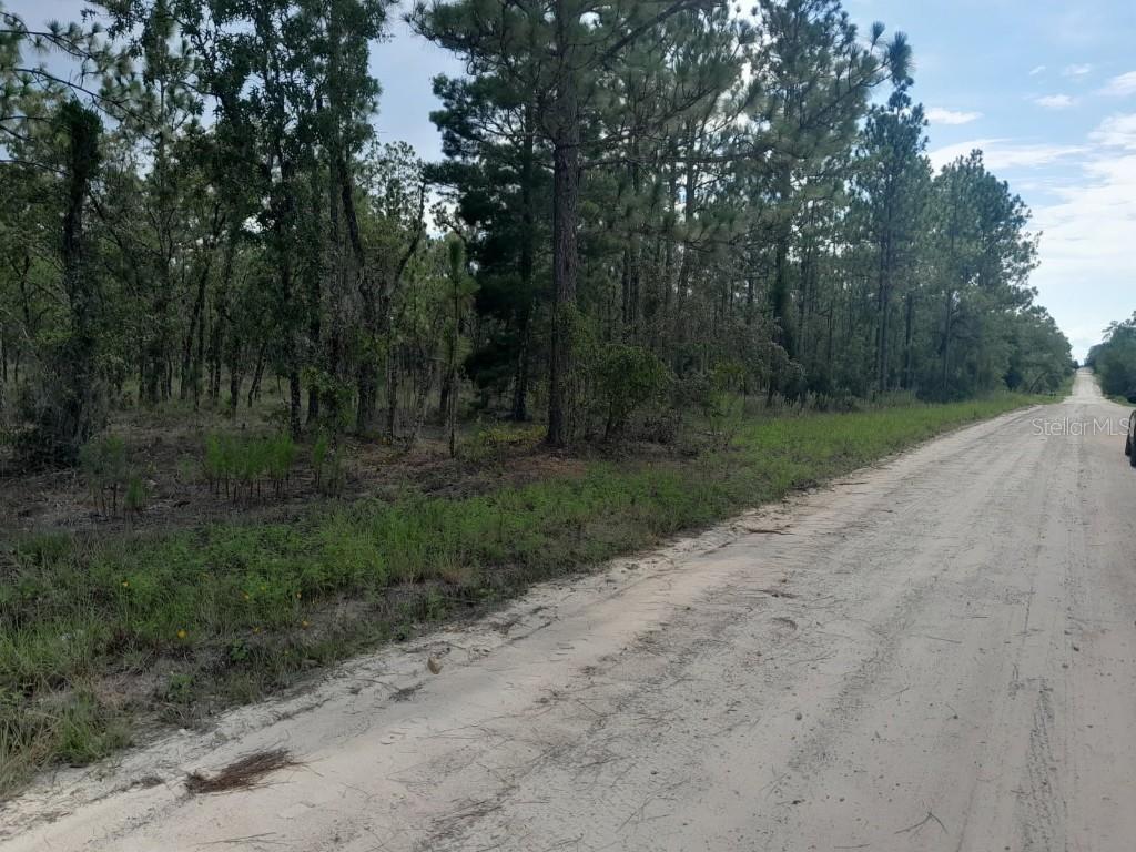 tbd SE 4th St., Williston, FL 32696