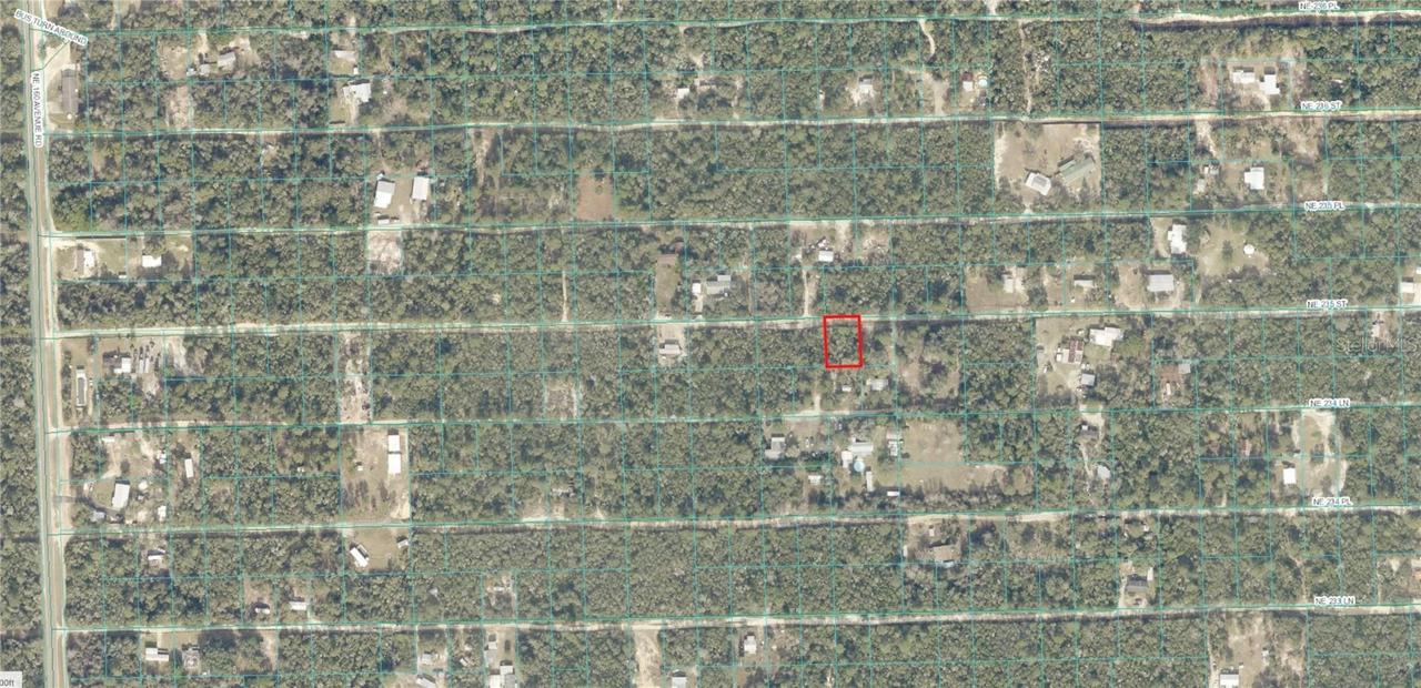 TBD NE 235th St., Fort Mc Coy, FL 32134
