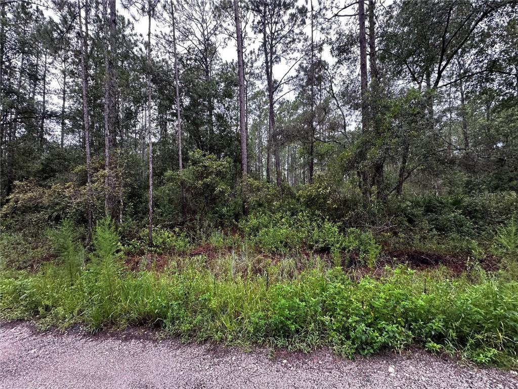 Ne 66th Ave, Citra, FL 32113