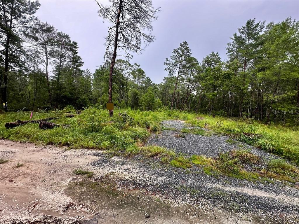 Ne 112th Ct, Fort Mc Coy, FL 32134