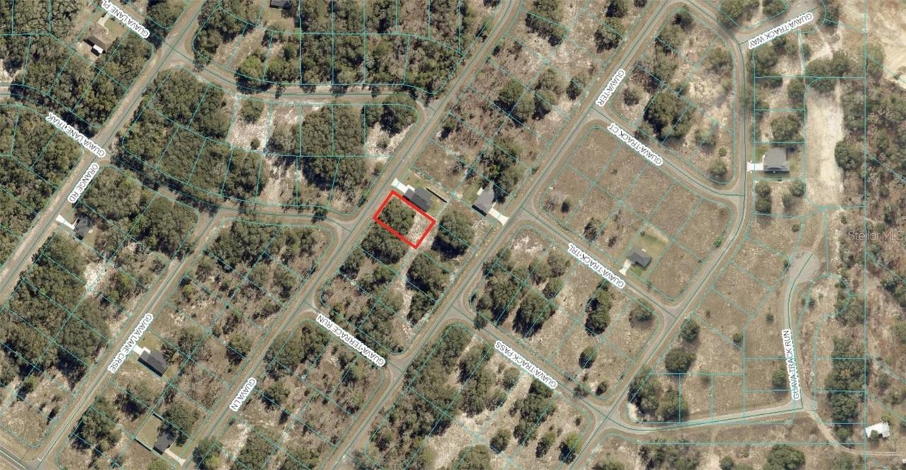 TBD Guava Ln, Ocklawaha, FL 32179