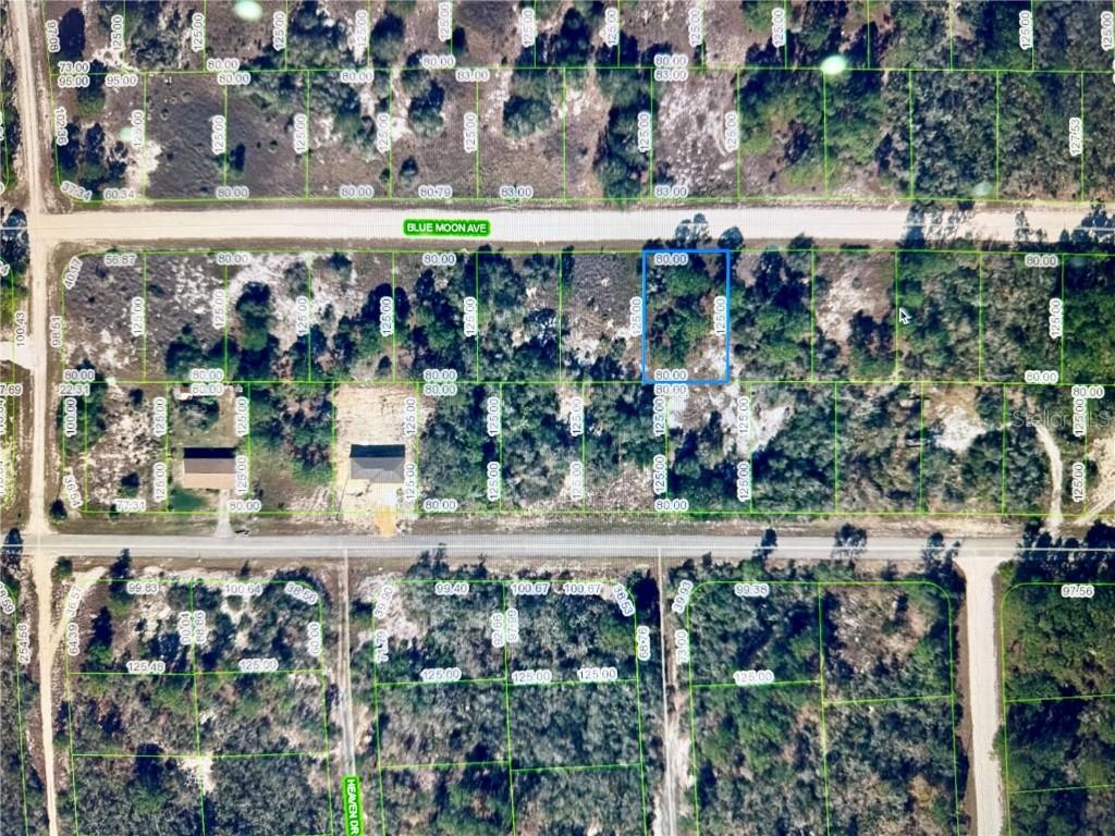 329 Blue Moon Ave., Lake Placid, FL 33852