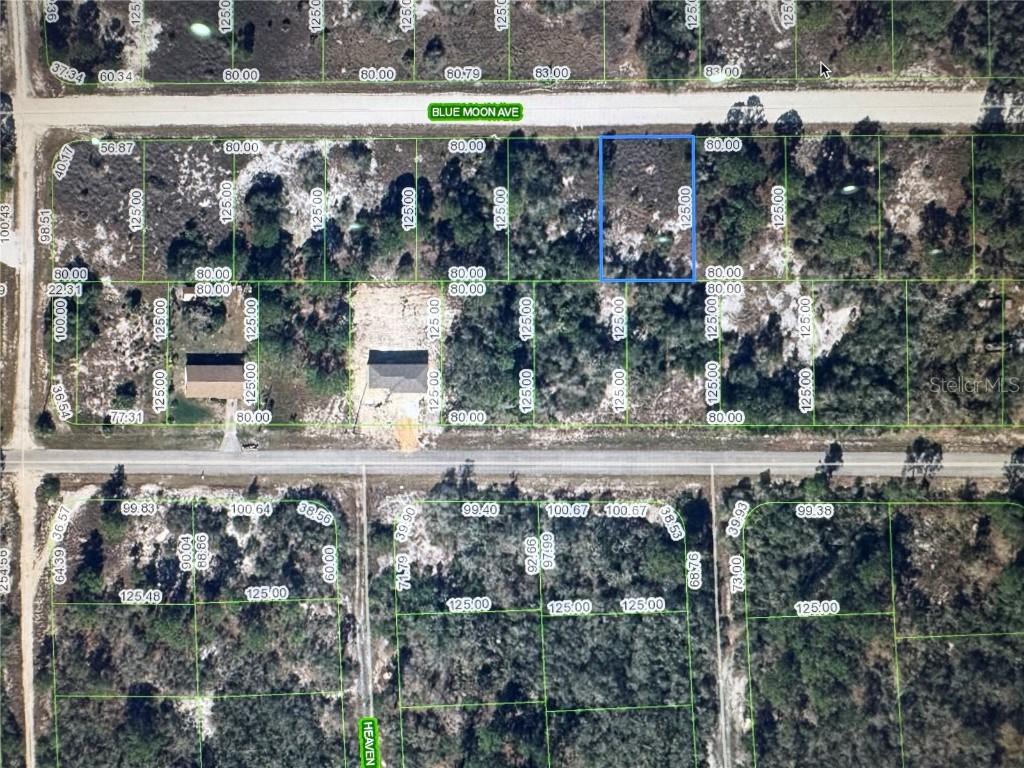 325 Blue Moon Ave., Lake Placid, FL 33852