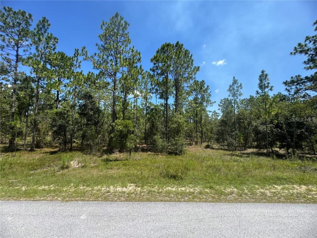 SE 105th Ln., Dunnellon, FL 34431