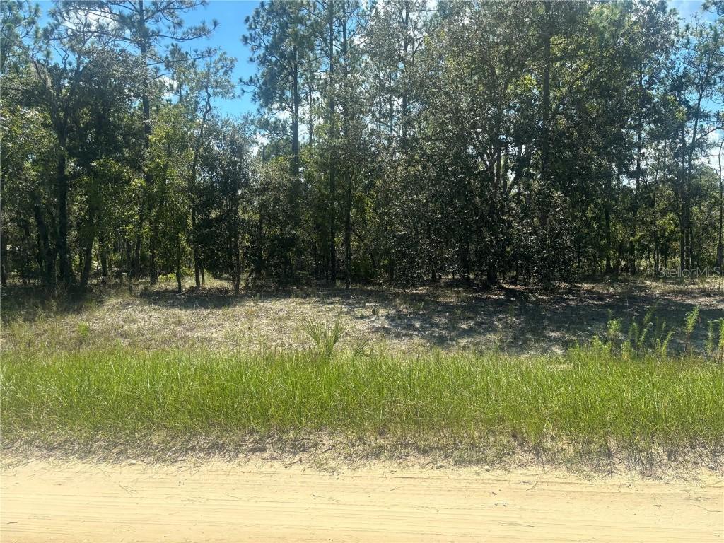 0000 SW 134th Ave., Dunnellon, FL 34432