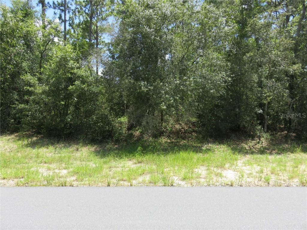 00 SW 132nd Pl., Ocala, FL 34473