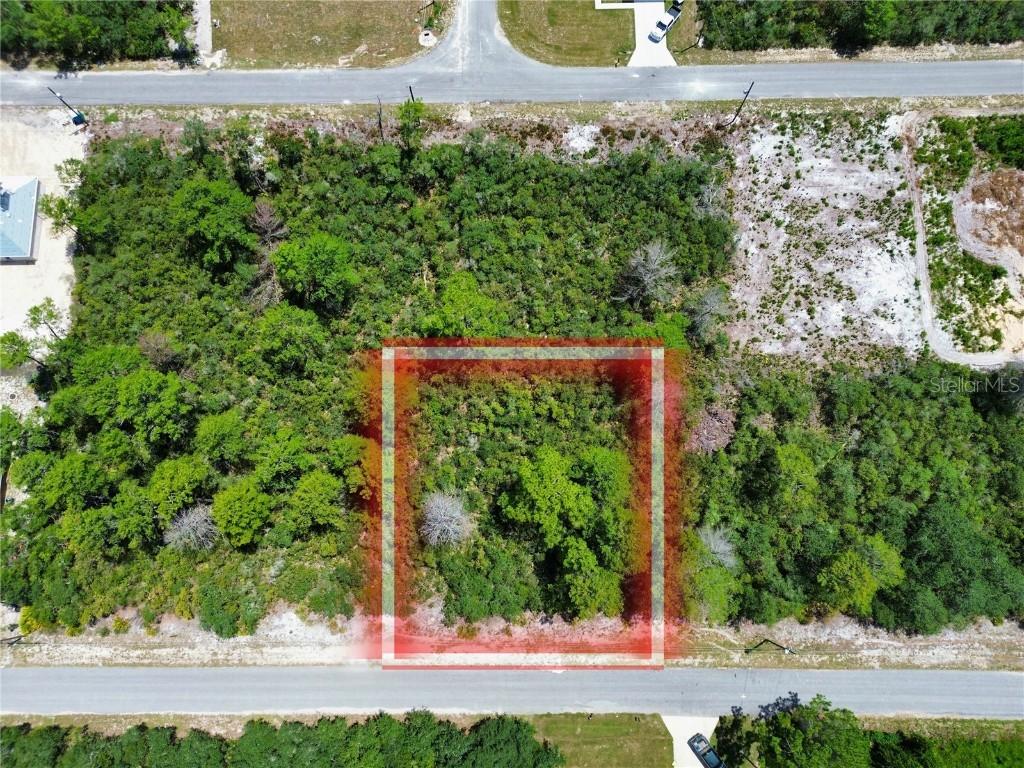 TBD SW Fisher Pass, Ocklawaha, FL 32179